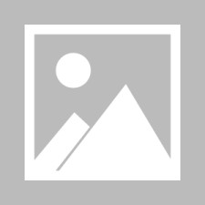 kaiyun-美国里根机场撞机运动员最新消息